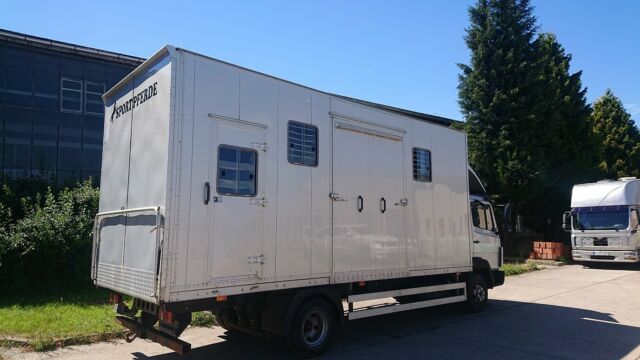 Mercedes-Benz 817 L Pferdetransporter (305373475)
