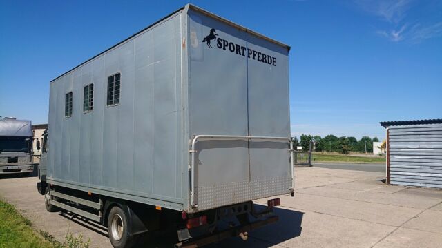 Mercedes-Benz 817 L Pferdetransporter (305373475)