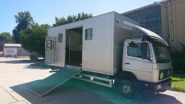 Mercedes-Benz 817 L Pferdetransporter (305373475)