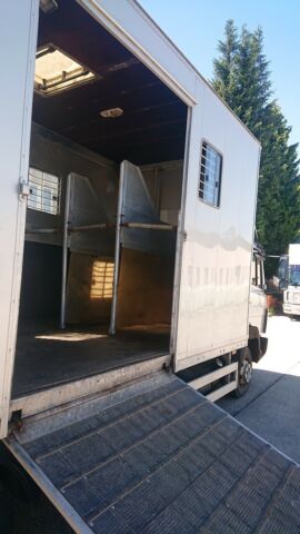 Mercedes-Benz 817 L Pferdetransporter (305373475)