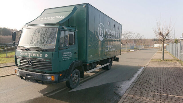 Mercedes-Benz 814 Pferdetransporter (318445658)