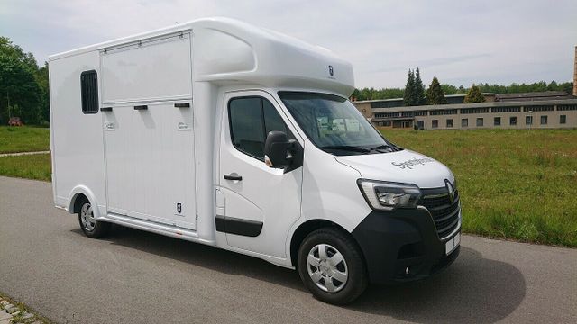 Renault Master Hengstversion (325527950)
