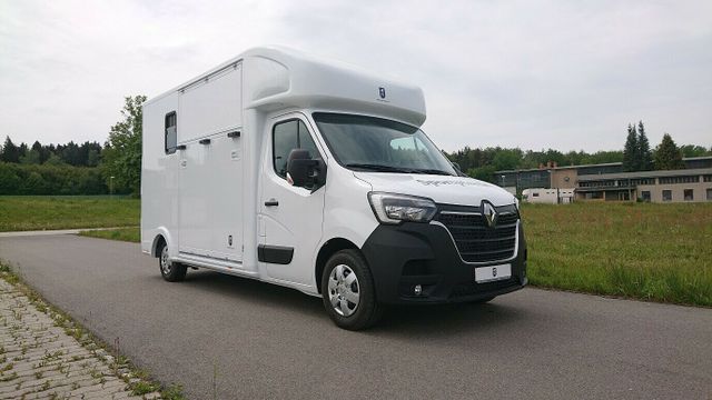 Renault Master Hengstversion (325527950)