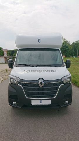 Renault Master Hengstversion (325527950)