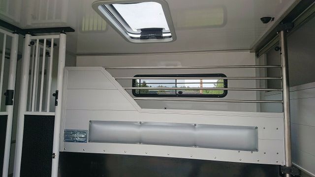 Renault Master Hengstversion (325527950)