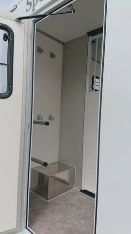 Renault Master Hengstversion (325527950)