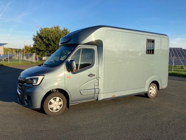 Renault Master STX Hengstversion (350342015)