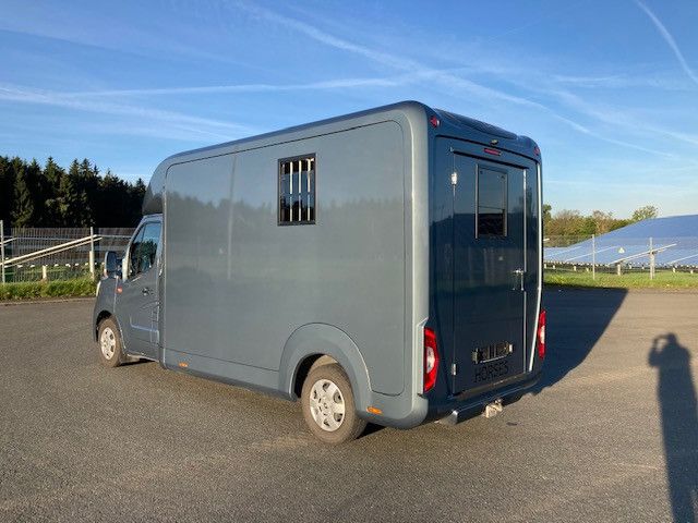 Renault Master STX Hengstversion (350342015)