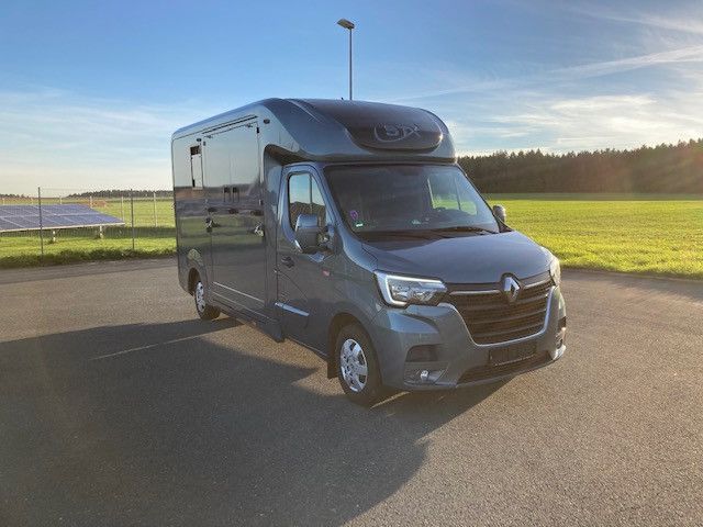 Renault Master STX Hengstversion (350342015)