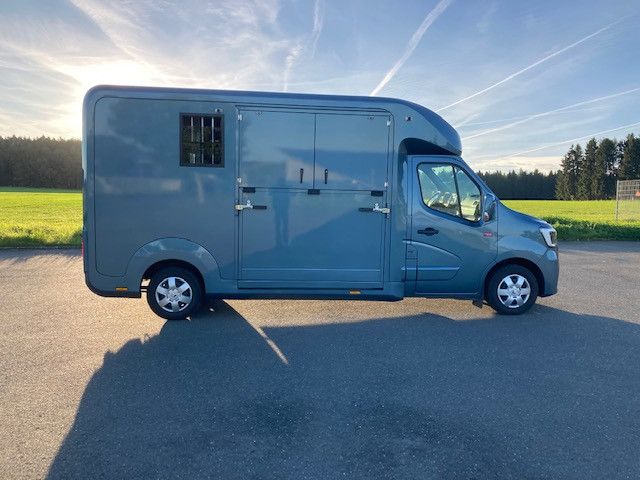 Renault Master STX Hengstversion (350342015)