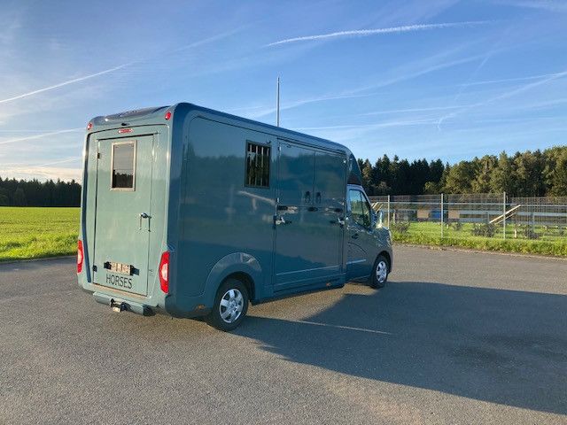 Renault Master STX Hengstversion (350342015)