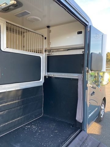 Renault Master STX Hengstversion (350342015)