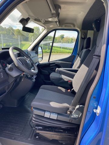 Renault Master FK Hengstversion (350342733)