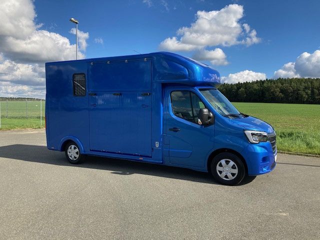 Renault Master FK Hengstversion (350342733)