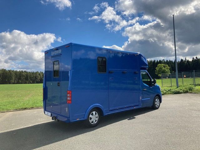Renault Master FK Hengstversion (350342733)