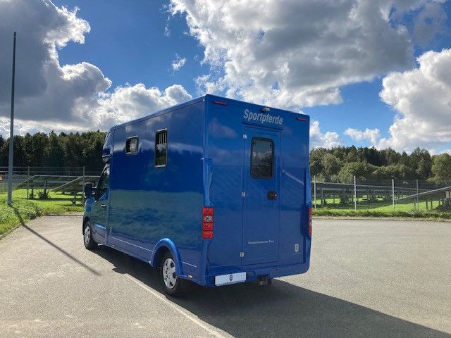 Renault Master FK Hengstversion (350342733)