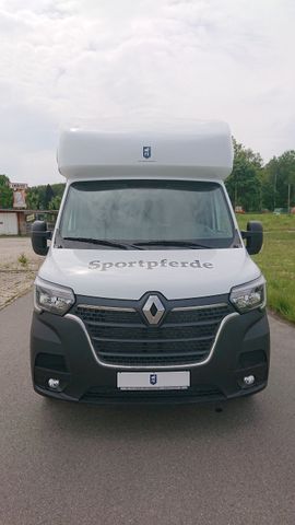Renault Master Hengstversion FK (371003401)