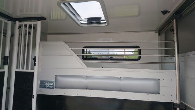 Renault Master Hengstversion FK (371003401)