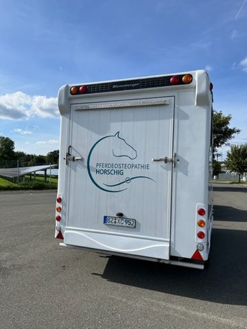 Andere Steinsberger 3 Pferde/Sattelkammer (375639095)