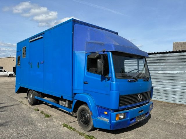 Mercedes-Benz 814 4 Pferde /SK (375639335)