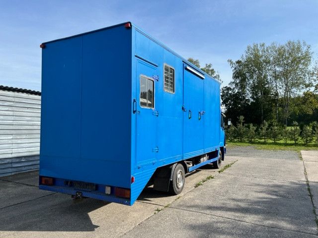 Mercedes-Benz 814 4 Pferde /SK (375639335)
