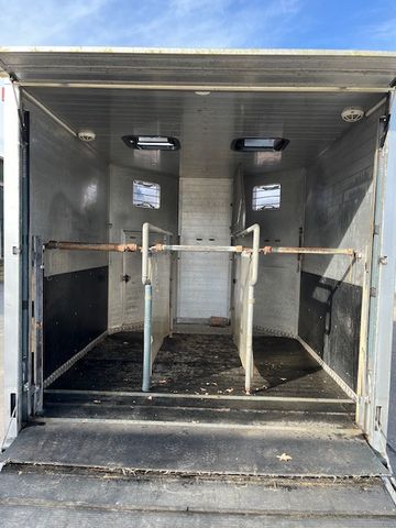 Andere 3 Pferde (423995383)