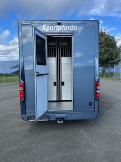 RENAULT  (51007494908448)