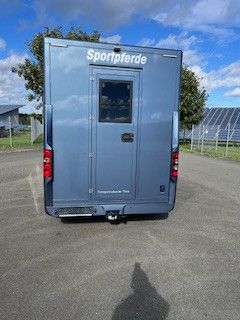RENAULT  (51007494908448)