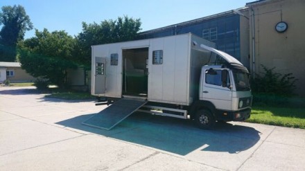 Mercedes-Benz 817 L Pferdetransporter (305373475)