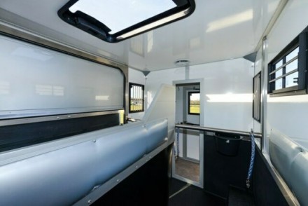 Renault Master FK Pferdetransporter (314370753)
