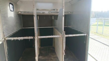 Mercedes-Benz 814 Pferdetransporter (318445658)