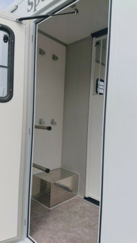Renault Master Hengstversion (325527950)