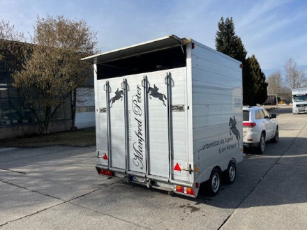 Andere 3 Pferde (423995383)